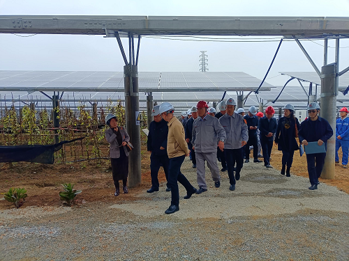 省工業(yè)和信息化廳副廳長吳東文及縱向幫扶組團單位一行到葵潭農(nóng)場調研3.png