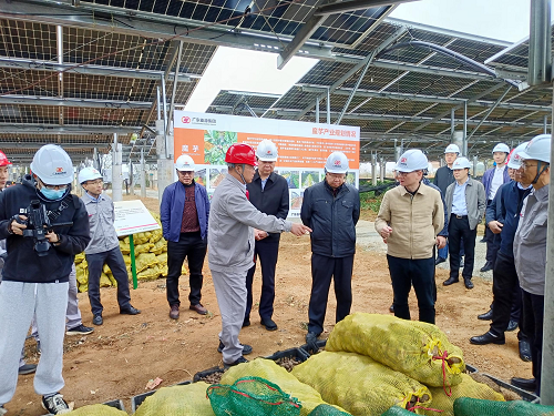 省工業(yè)和信息化廳副廳長吳東文及縱向幫扶組團單位一行到葵潭農(nóng)場調研2.png